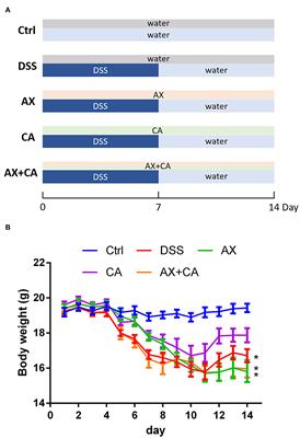 Effects of arabinoxylan and chlorogenic acid on the intestinal microbiota in dextran sulfate sodium–treated mice